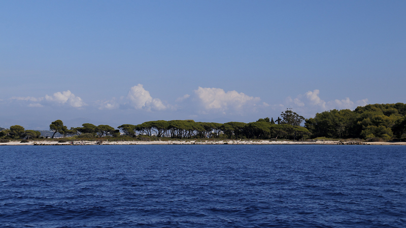 Ile de St Honorat