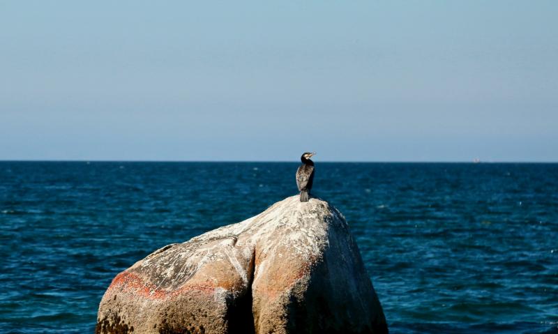 Baie de Morlaix