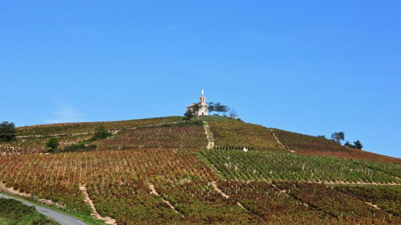 Beaujolais