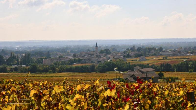 Beaujolais