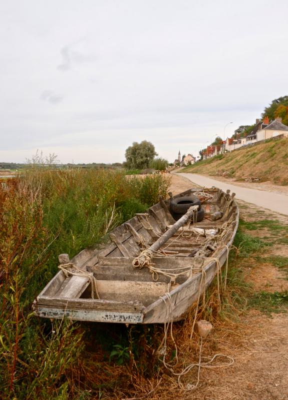 Bords de Loire