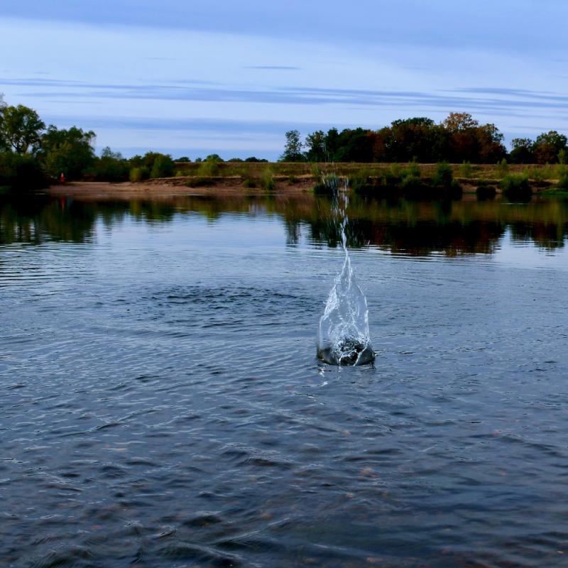 Bords de Loire