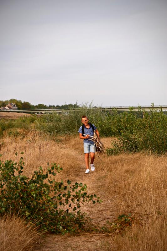 Bords de Loire