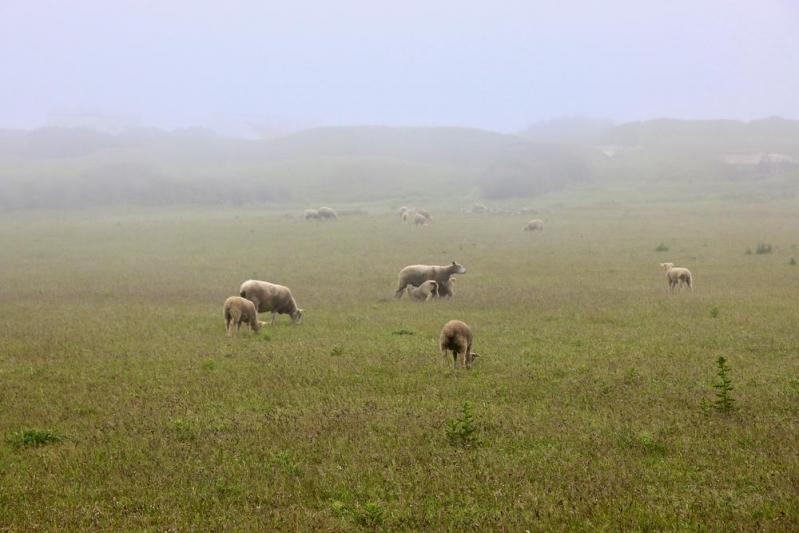 Cap Blanc Nez