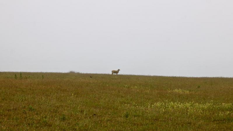 Cap Blanc Nez