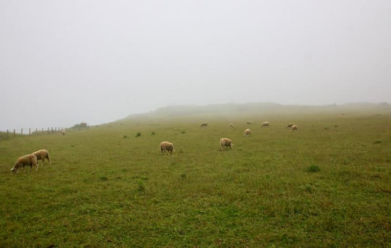 Cap Gris Nez