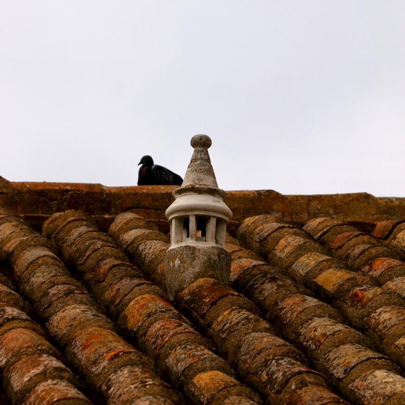 Cheminées de l'Algarve