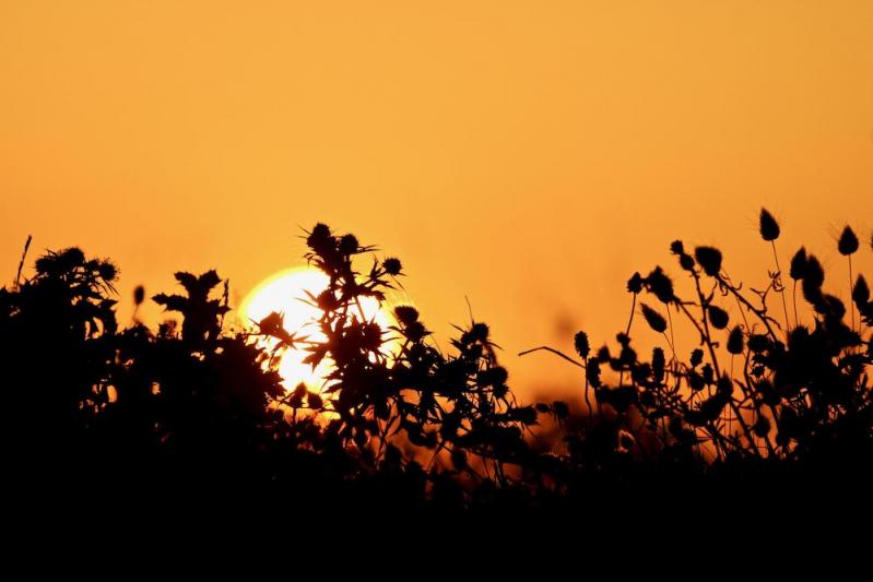 Coucher de soleil à Noirmoutier