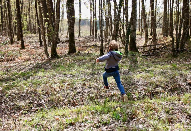 En forêt de Montrichard