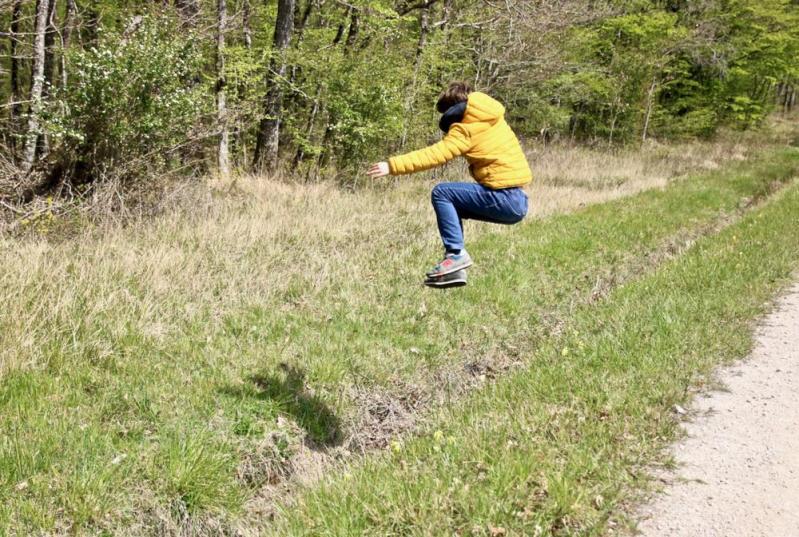 En forêt de Montrichard