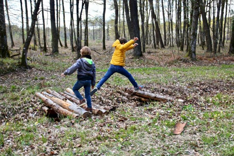 En forêt de Montrichard