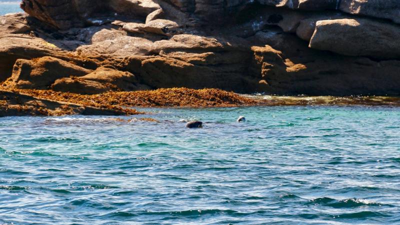 Baie de Morlaix