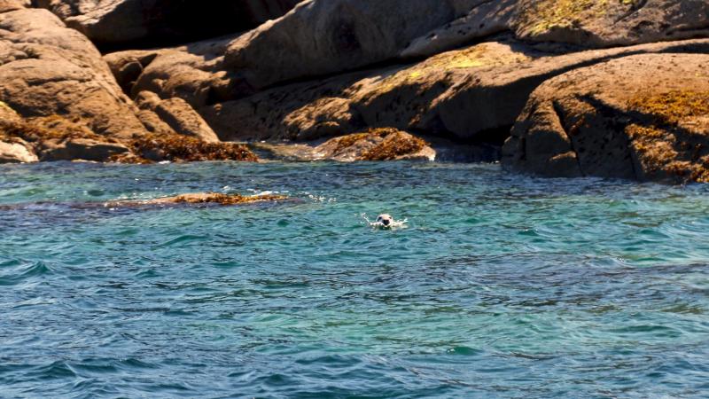 Baie de Morlaix