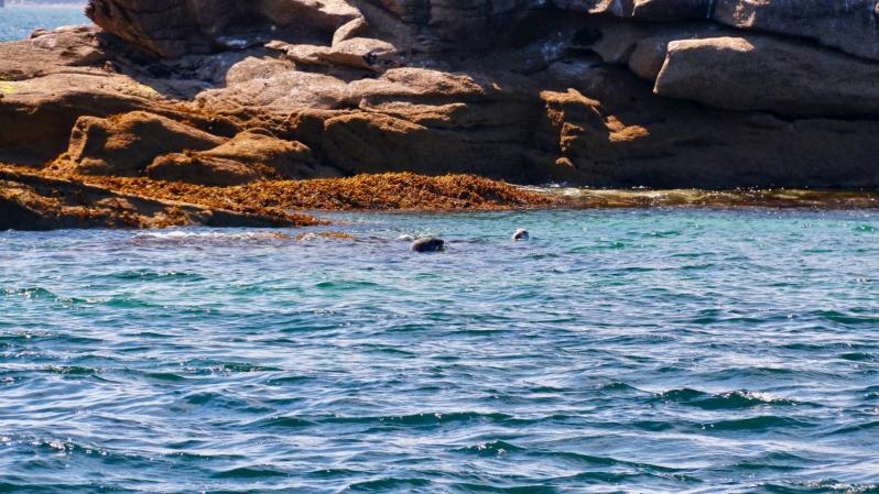 Baie de Morlaix