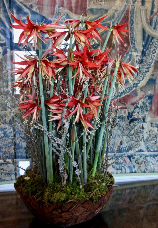 Bouquets royaux - Chenonceau