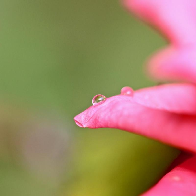 Gouttes d'eau