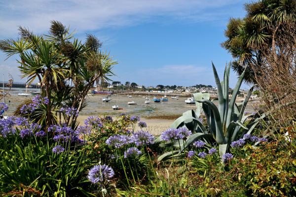 Ile de Batz