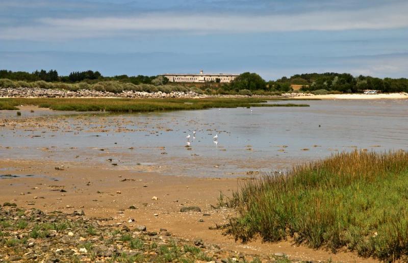 L'île Madame