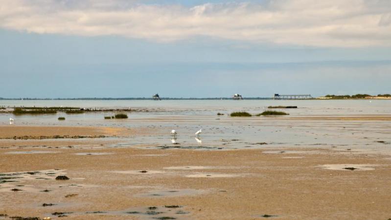 L'île Madame