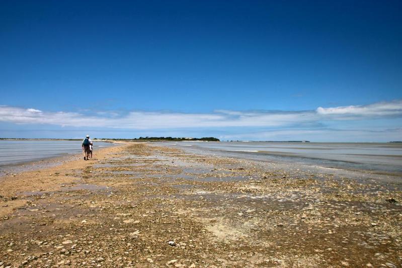 L'île Madame