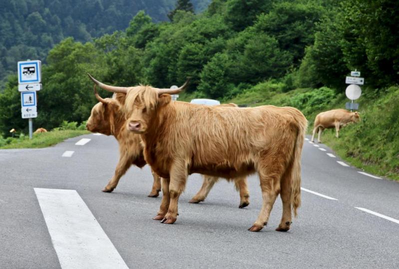 Le Tourmalet