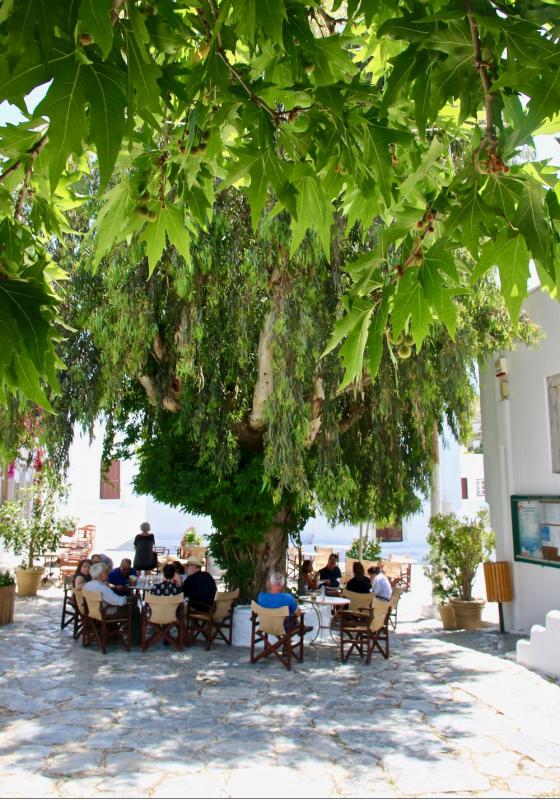 Les Cyclades -  Île d'Amorgos - La Chora