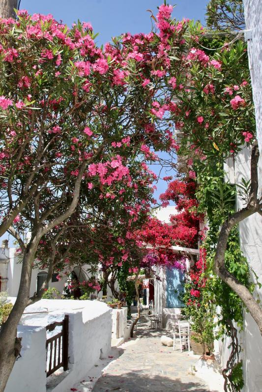 Les Cyclades -  Île d'Amorgos - La Chora