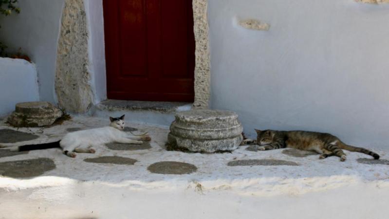 Les Cyclades -  Île d'Amorgos - La Chora