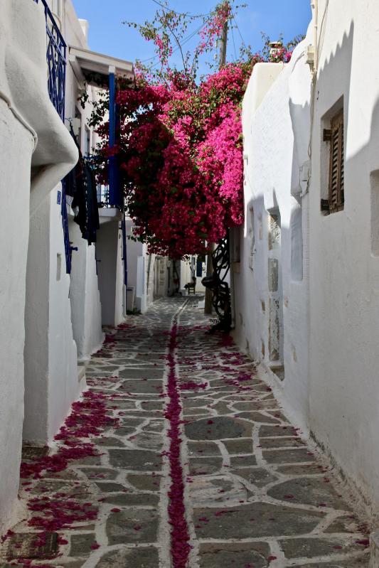 Les Cyclades - Paros - village de Parikia