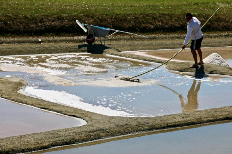 Marais salants