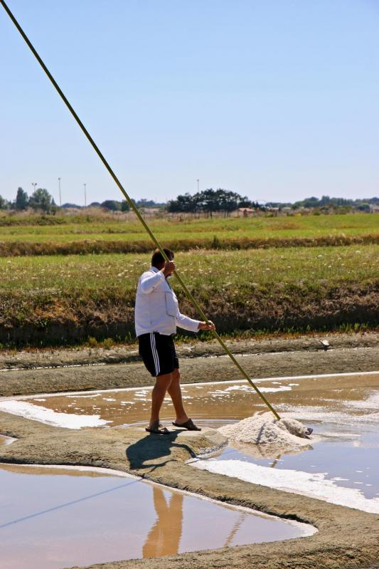 Marais salants