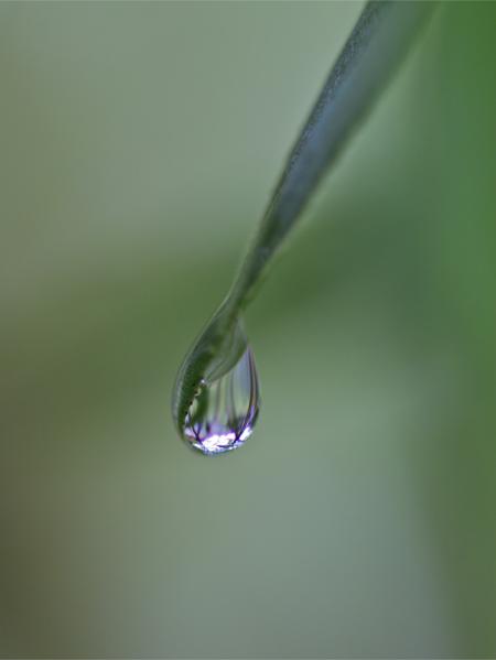 Goutte d'eau