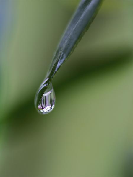 Goutte d'eau