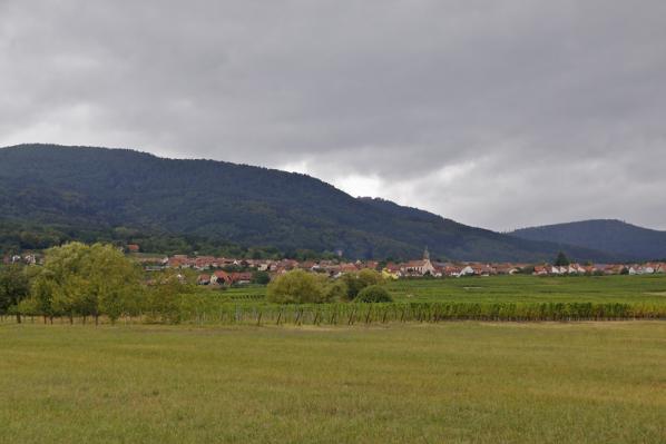 Mittelbergheim