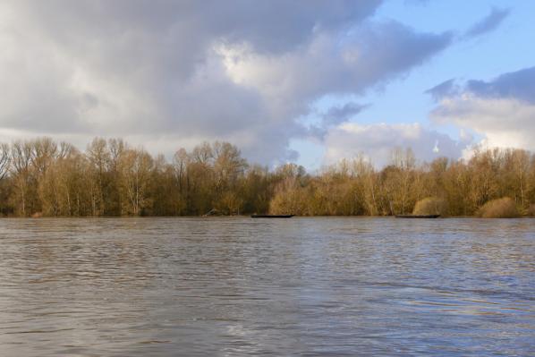 Bords de Loire