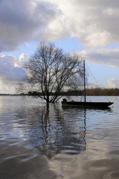 Bords de Loire