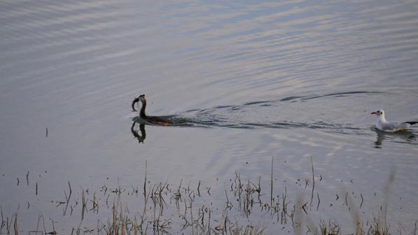 à la pêche...