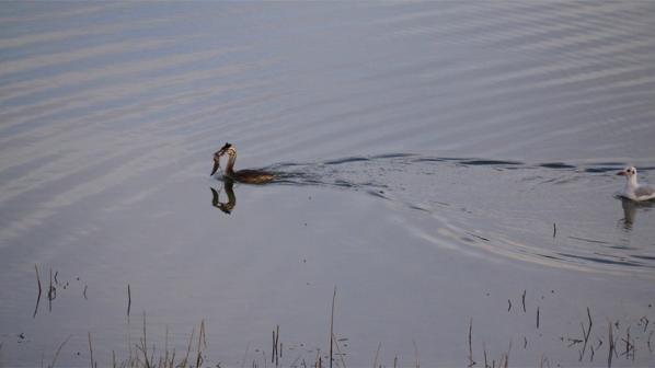 à la pêche...