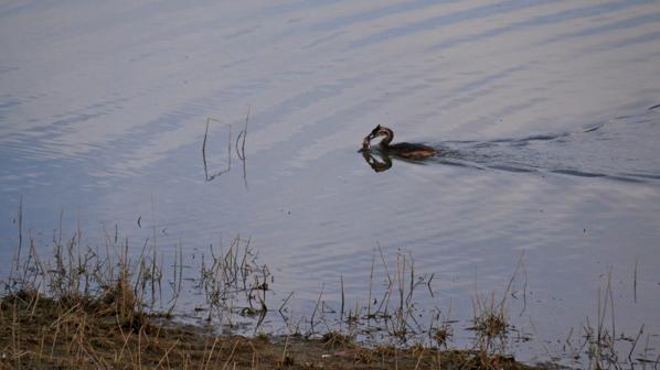 à la pêche...