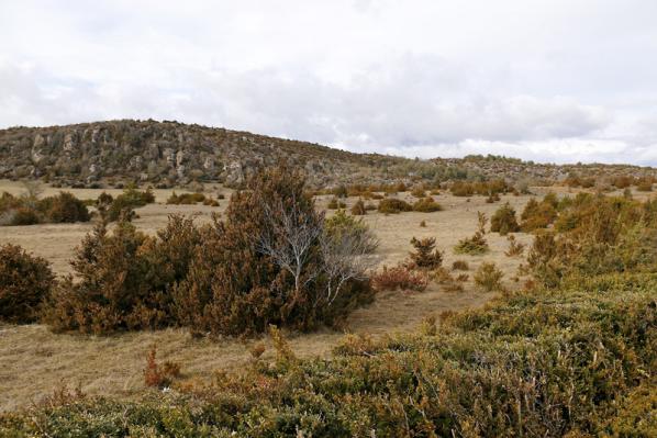 Larzac