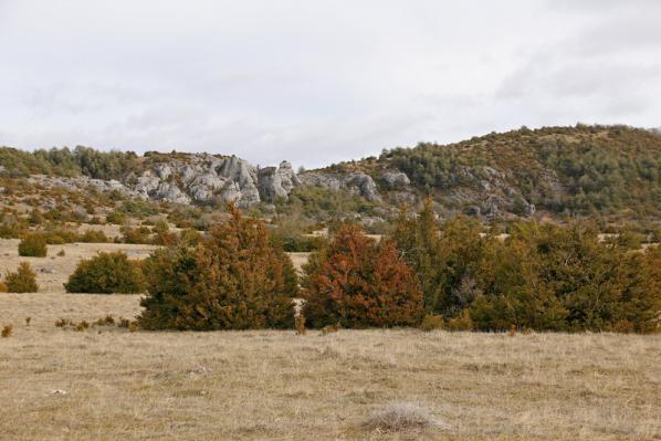 Larzac