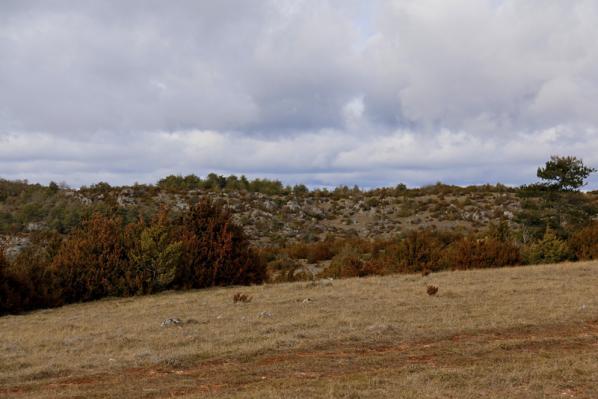 Larzac