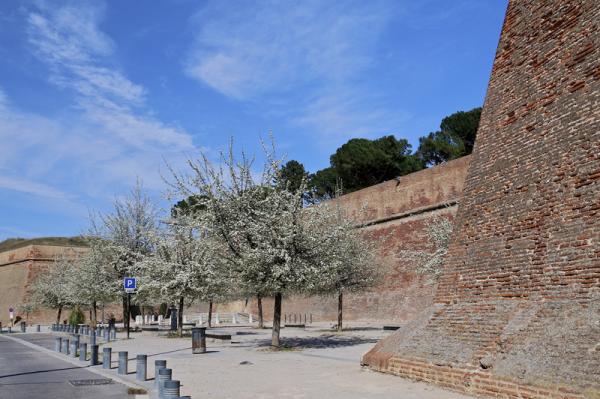 Perpignan - Palais des Rois de Majorque