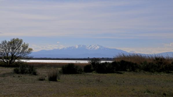 Mont Canigou