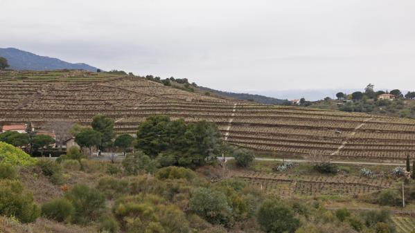 Banyuls sur Mer