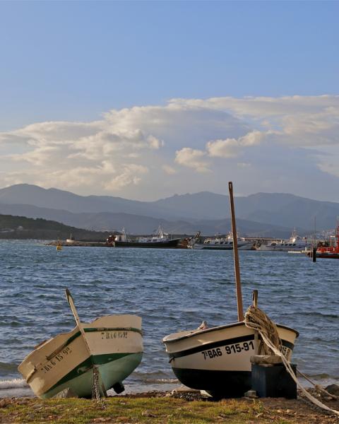 La Selva de Mar