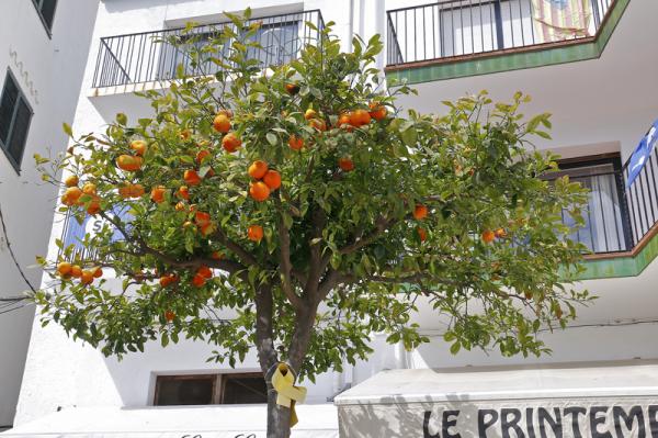 Cadaqués