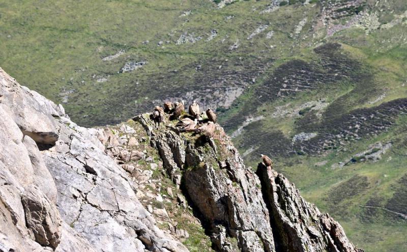 Pic du Midi