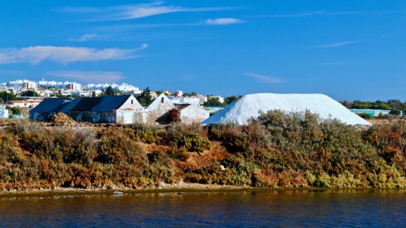 Tavira