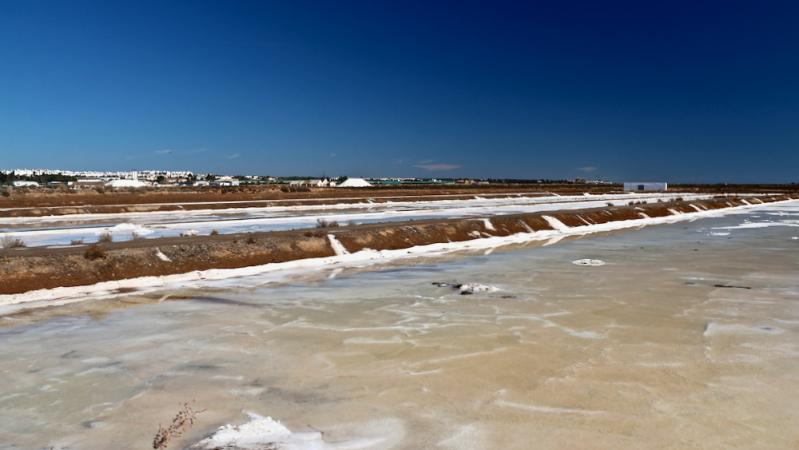 Tavira